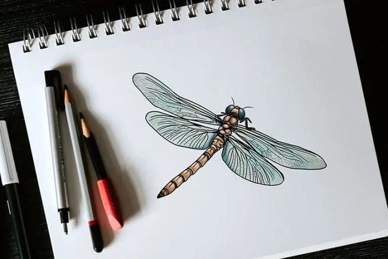 dragonfly drawing