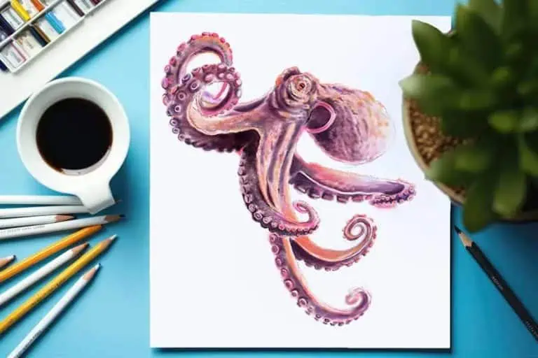Oktopus zeichnen – Einfache Anleitung mit Arbeitsschritten