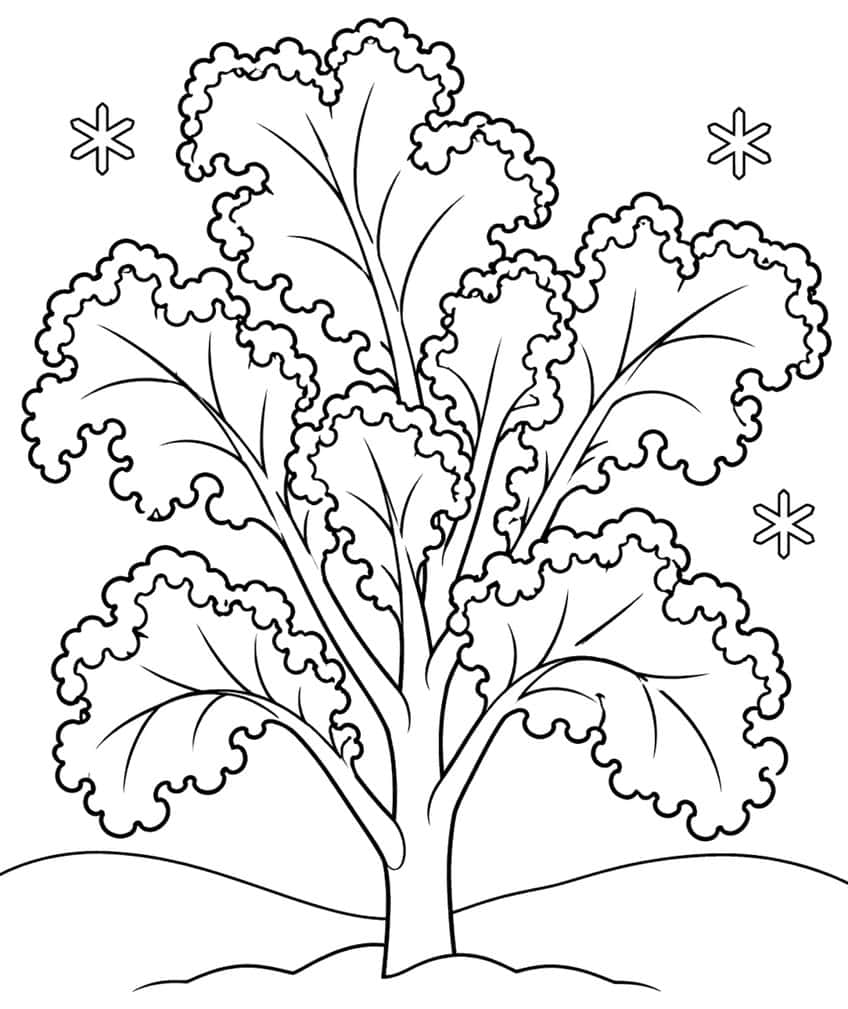Ruffled leafy plant with curly frosted edges on a snowy hill, with three snowflakes