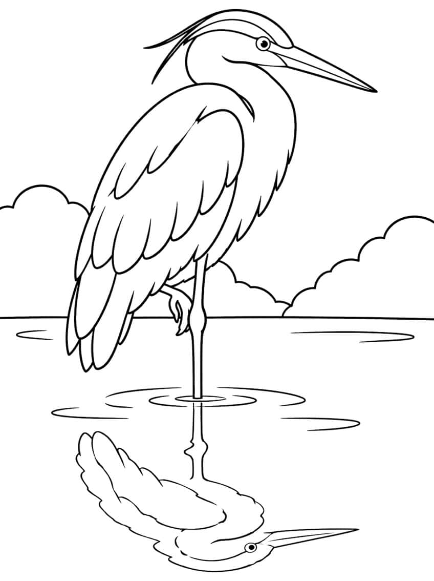 Heron on one leg in water with ripples, reflection and clouds