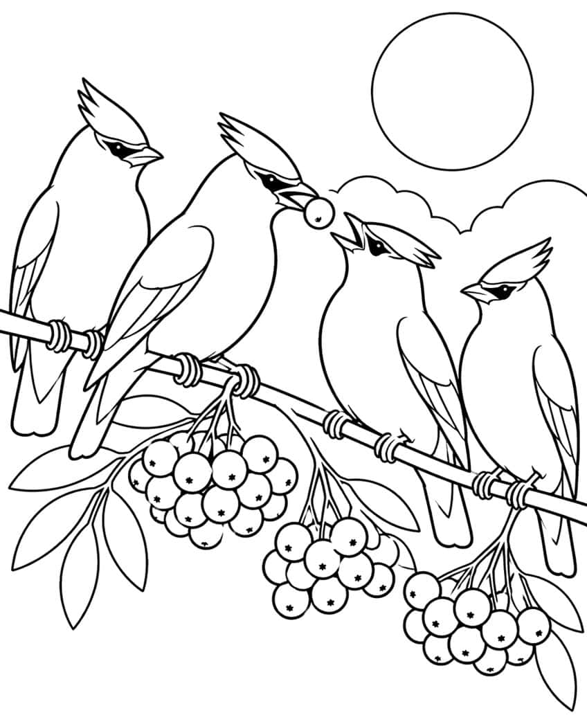 Four waxwings on a rowan branch with berry clusters, leaves, a round sun and clouds