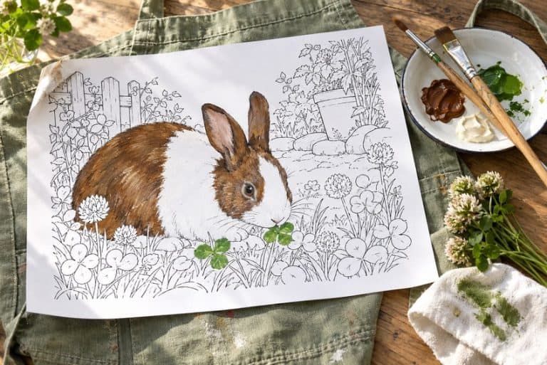 hase ausmalbild teilweise mit Buntstiften ausgemalt