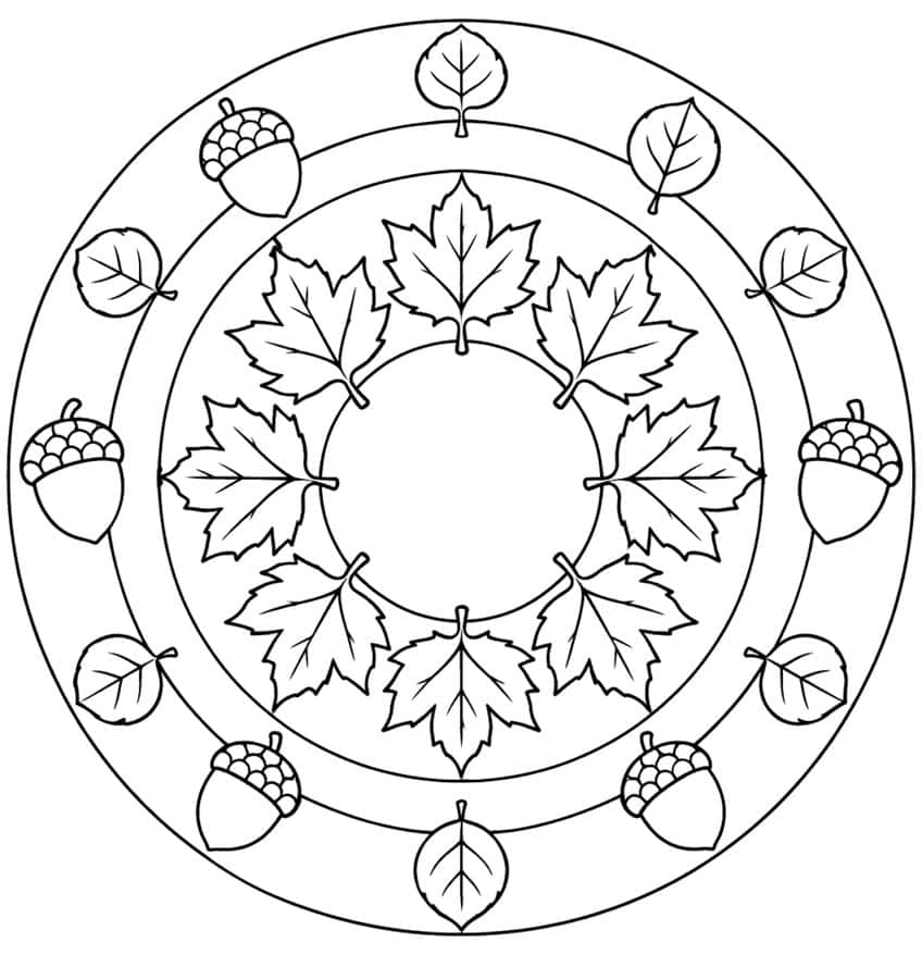 Kreis-Mandala mit acht Ahornblättern im Kranz, außen Eicheln und runde Blätter