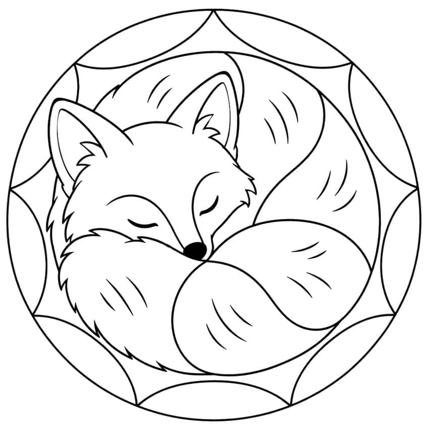Eingerollter schlafender Fuchs mit buschigem Schwanz in einem Kreis mit Bogenrahmen