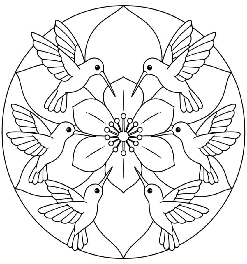 Sechs Kolibris kreisen um eine fünfblättrige Blüte mit Staubfäden in einem runden Mandala