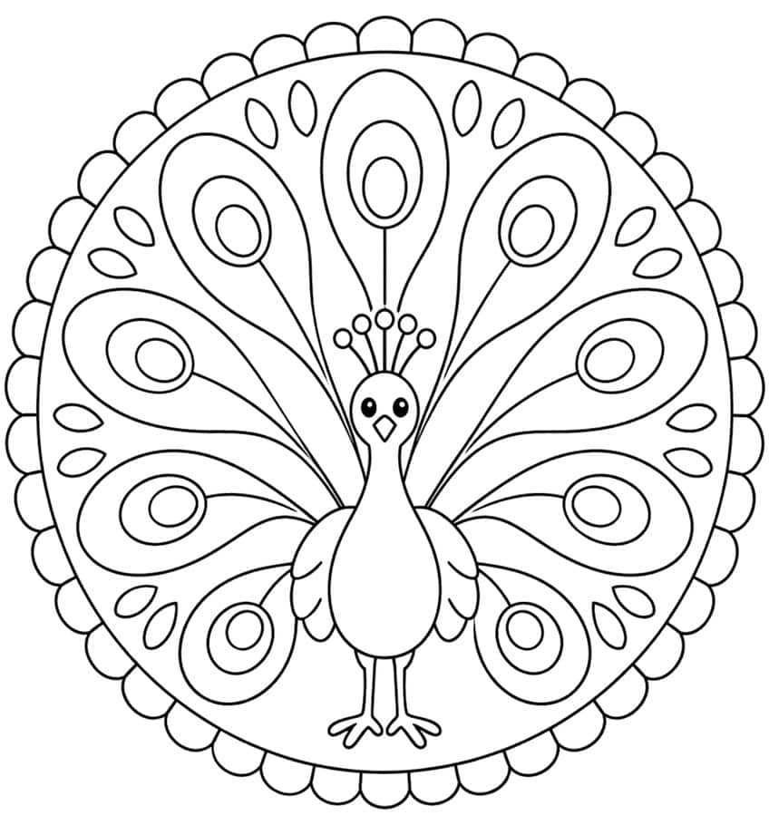Frontal stehender Pfau mit Federkrone, acht Schwanzfedern mit Augenmustern in einem Kreis mit Wellenrand
