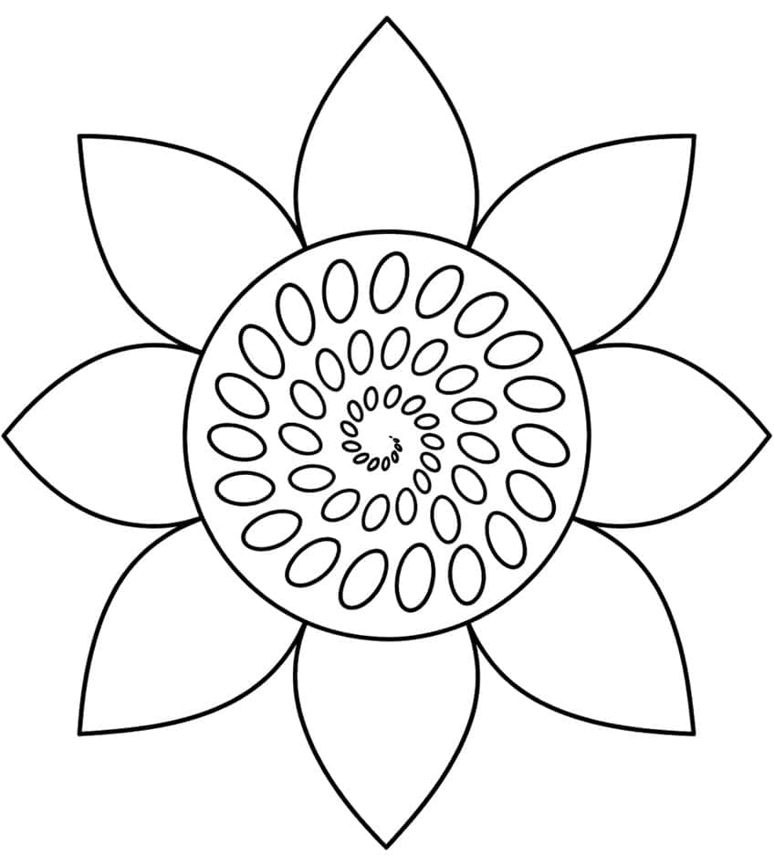 Blume mit acht spitzen Blütenblättern und einer Mitte aus spiralförmig angeordneten Ovalen
