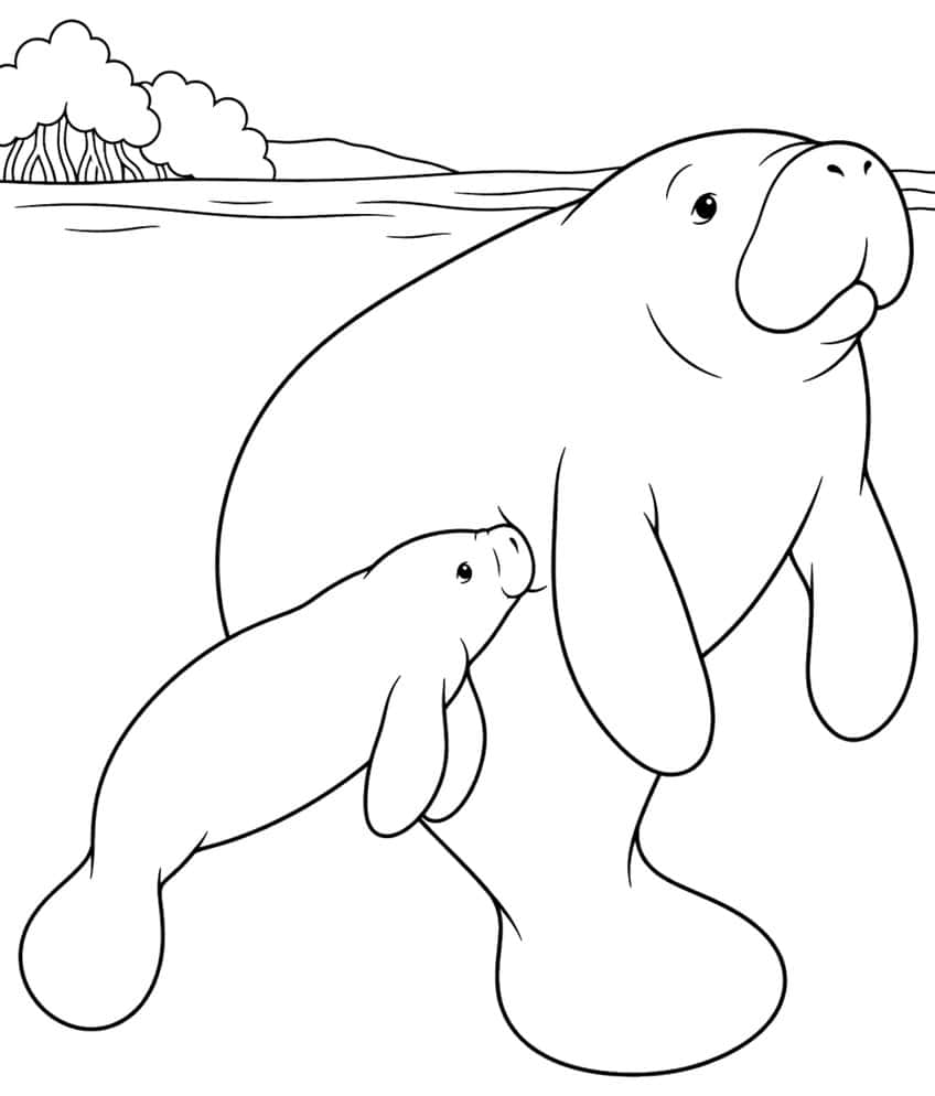 Seekuh mit Jungtier unter der Wasserlinie, dahinter Mangroven und Hügel am Ufer
